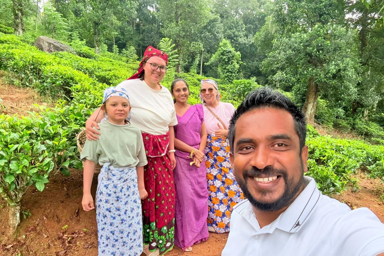 Kandy: Road-to-Rail Journey to Ella via Nuwara Eliya