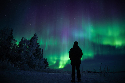 Levi: Aurora Borealis Tracking, Learning, & Photography Tour