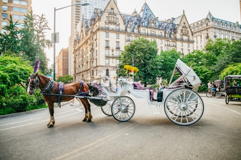 VIP-rit met privépaardenkoets in Central ParkVIP privérondleiding