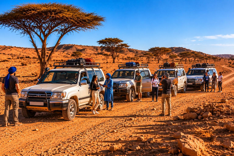 Agadir: Mini Sahara 4x4 Tour with Lunch and Pickup