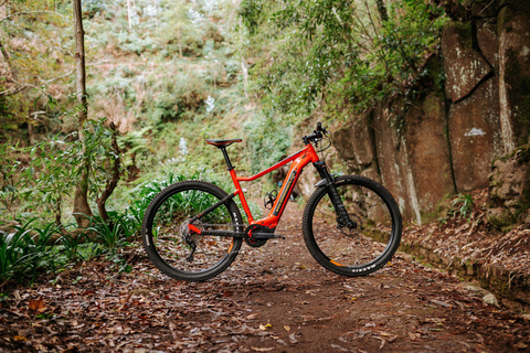 Visite guidée en E-Bike - Expérience en VTT