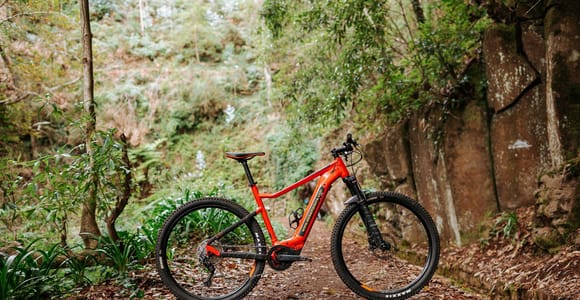 Madeira: Full Day E-Bike Rental