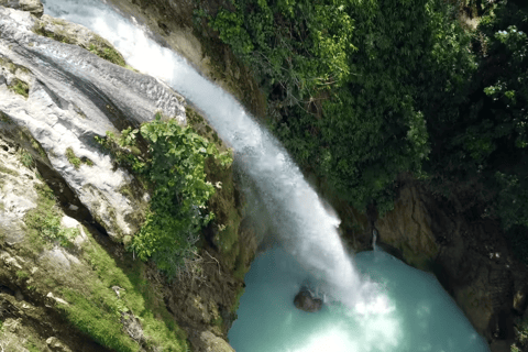 Cebú:Excursión en grupo con tiburón ballena, cascada y carrera de sardinas+Comida