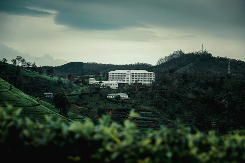 Kandy: Private Tuk Tuk Tour with Tea Tasting & Village Visit