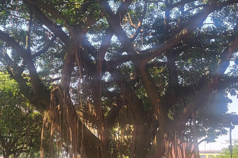 Kampala: Guided Walk Through Markets, Monuments, & Culture