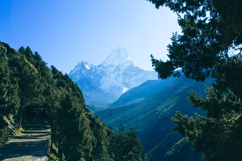 Everest Panorama Trek - Nature's Grandeur in Every Step Everest Panorama Trek - Lukla Flight Not Included Option 2