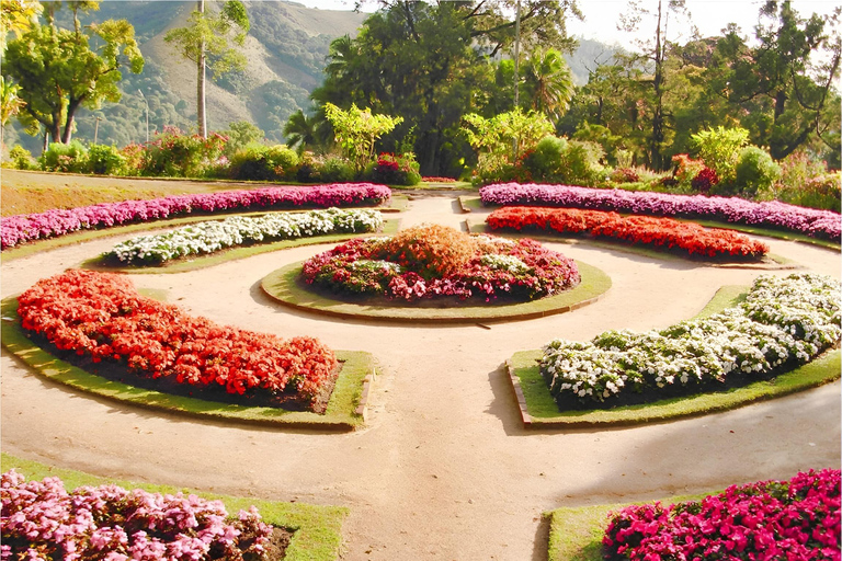 3-Day Nuwara Eliya Tour: Gem Workshop & Tea Highlands