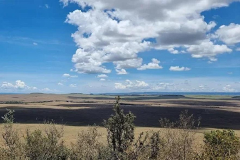 From Nairobi: National Park & Maasai Mara Safari Guided Tour