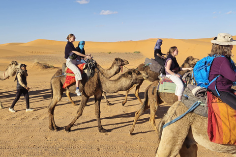 Marrakesh: Sahara Desert Tour From Marrakech 3D2N & Glamping Private Luxury Tour