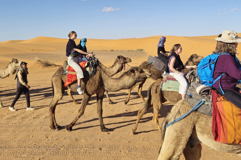 Marrakesh: Sahara Desert Tour From Marrakech 3D2N & Glamping Private Luxury Tour