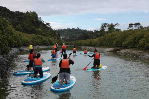 Excursión SuP a la Cascada de Lucas Creek