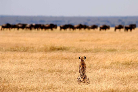 5 Days Tanzania Big 5 Safari Experience