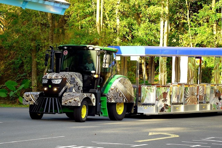 Taipei: Maokong Gondola & Zoo Combo Ticket with Train