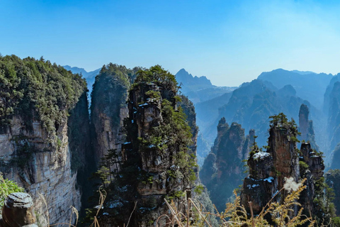 Visite exclusive d&#039;une journée du parc forestier national de Zhangjiajie (VIP)