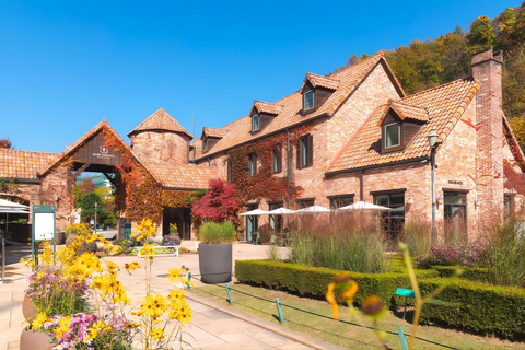 Chuncheon: Jade Garden, Skywalk & Authentic Dakgalbi