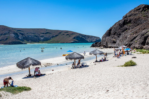 La Paz: Balandra or Tecolote amazing Beach Day Tour