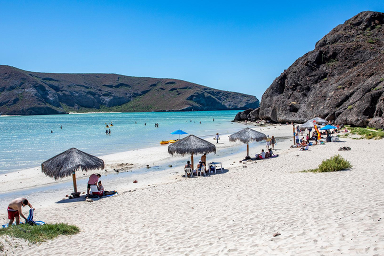 La Paz: Balandra or Tecolote amazing Beach Day Tour