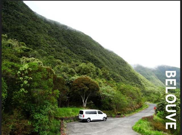Visit Guided excursion to Belouve, Monday in Réunion