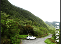 星期一，前往贝卢夫的旅行 - Housity