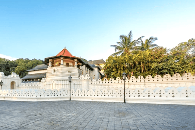 Vanuit Colombo: Dagtrip naar Kandy en theeplantages