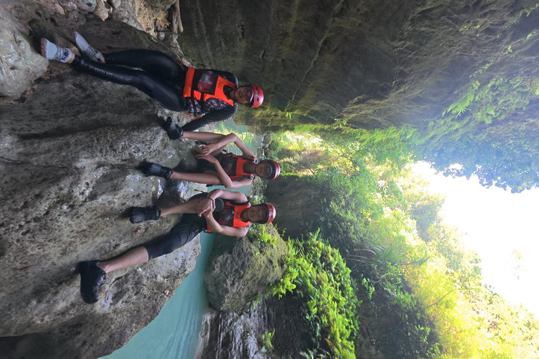 Cebu: Oslob valhajsskådning Canyoneering privat upphämtning