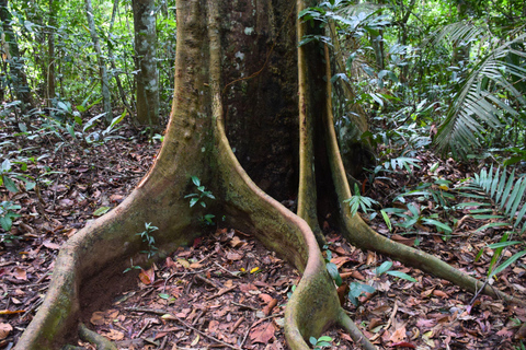 البرية: جولة مشي لمسافات طويلة ومشاهدة النجوم في خاو ياي لمدة يومينجولة المجموعات الصغيرة