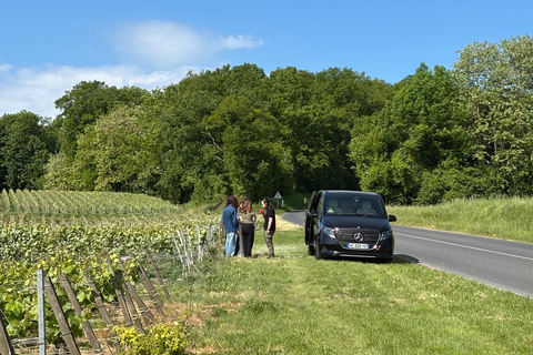 Champagne Day Tour Tours, tastings, and lunch included Champagne Tour Day Tours Tastings Lunch included