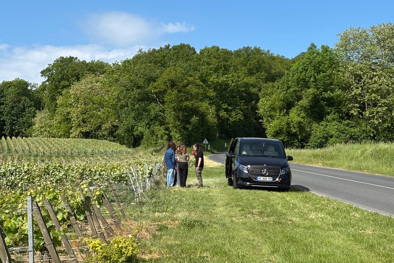 Champagne Day Tour Tours, tastings, and lunch included Champagne Tour Day Tours Tastings Lunch included