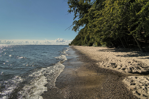 Gdynia: Forest, Cliff, and Beach Guided Walking Tour