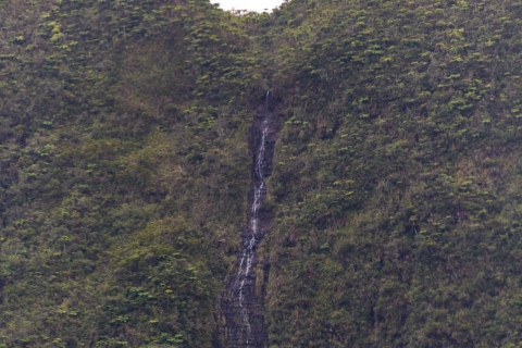 Randonnée en groupe autour de Grand Etang, île de la Réunion.Randonnée en groupe autour de Grand Etang