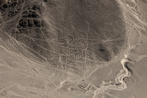 From Nazca: Nazca Lines Flight From Nazca: Overflight in the Nazca Lines