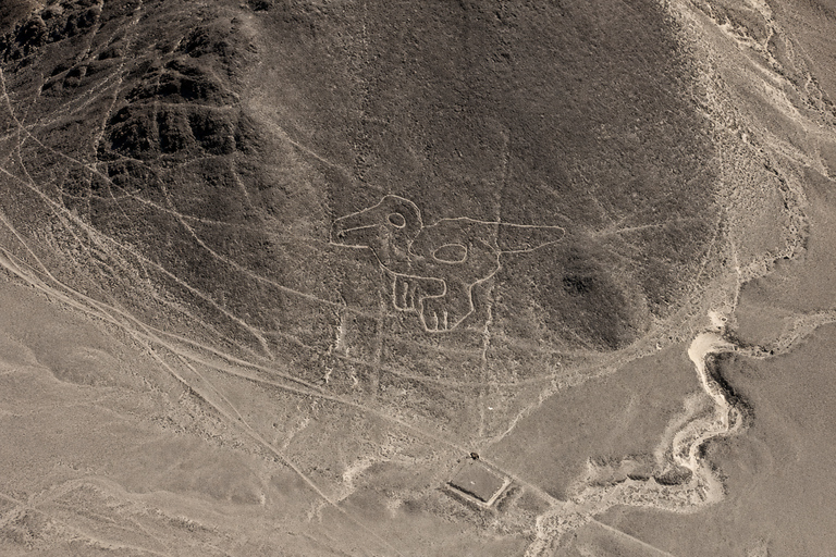 From Nazca: Nazca Lines Flight From Nazca: Overflight in the Nazca Lines