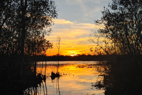 Orlando: Sunset guided kayaking tour