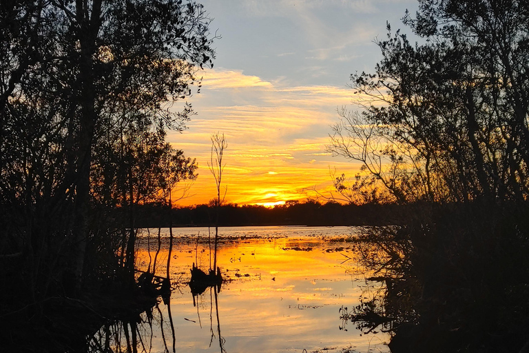 Orlando: Geführte Kajaktour bei Sonnenuntergang