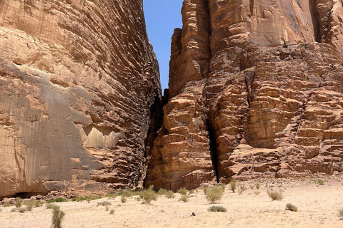 Wadi Rum : Visite privée de quatre heures en jeep avec des bédouins