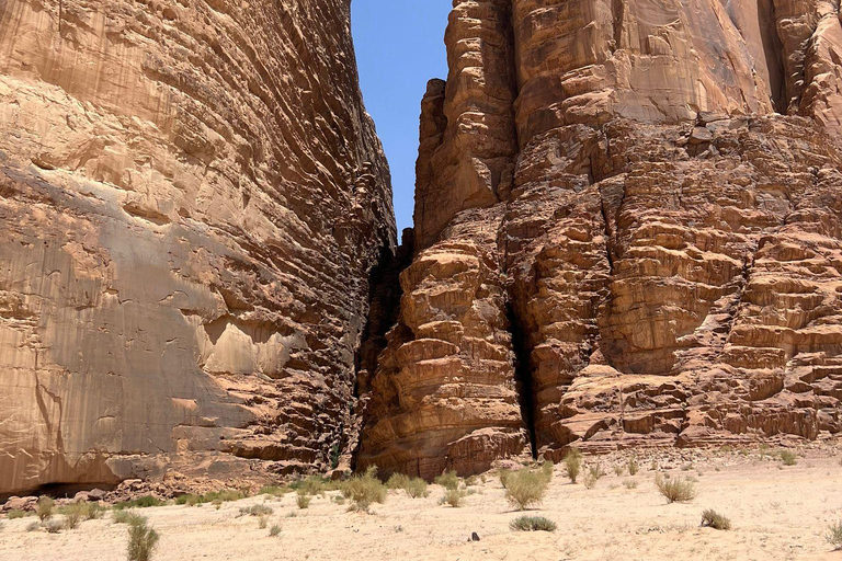 Wadi Rum : Visite privée de quatre heures en jeep avec des bédouins