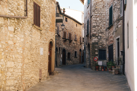 Von Florenz aus: Chianti-Hügel Halbtagestour mit WeinverkostungWeinkeller-Tour auf Englisch