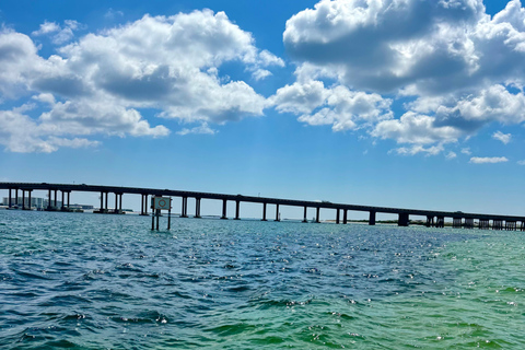Destin: Destin Dolphin Harbor & Bay Boat Tour