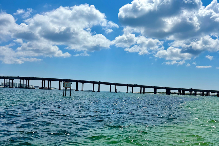 Destin: Destin Dolphin Harbor & Bay Boat Tour