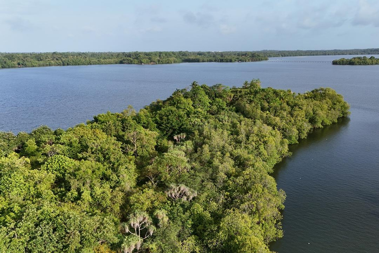 Madu River Boat Cruise & Cinnamon Garden All Inclusive Tour Madu River Boat Ride without Pick up