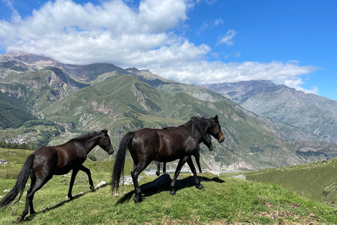 Private Stepantsminda: Dariali, Giant Sculptures, Waterfalls