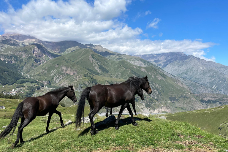 Private Stepantsminda: Dariali, Giant Sculptures, Waterfalls