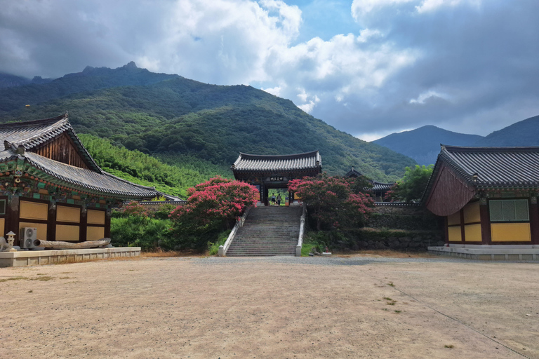 Busan: Miryang Day Tour with Apple Makgeolli Experience