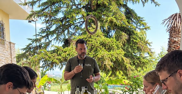 Mount Olympus: Greek Olive Oil Tasting & Olive Grove Tour