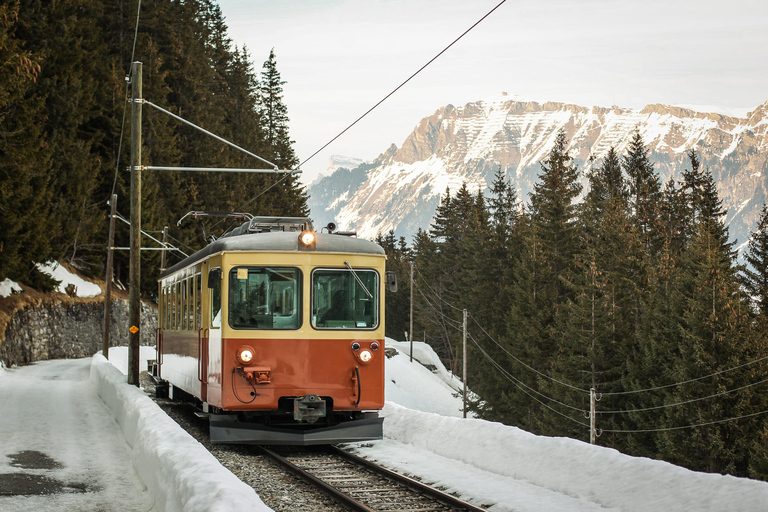 Lucerne: Lauterbrunnen & Mürren: Small Group Alpine Day Trip