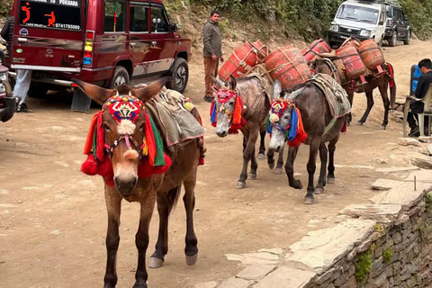 Pokhara: Easy 5-Day Annapurna Base Camp Trek