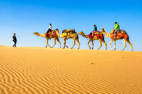 Jaipur, Jodhpur or Jaisalmer Multi-Day Trip with Safari