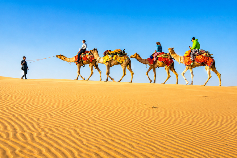 Jaipur, Jodhpur or Jaisalmer Multi-Day Trip with Safari