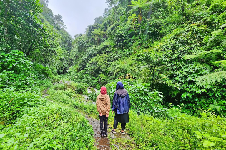 Jakarta : Waterfall, Camping Ground, Volcano 3 Day 2 Night