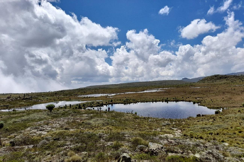 Aberdares: Caminhada guiada pelas Sete Lagoas com vistas panorâmicasAberdares: Caminhada guiada pelas Sete Lagoas com vistas incríveis